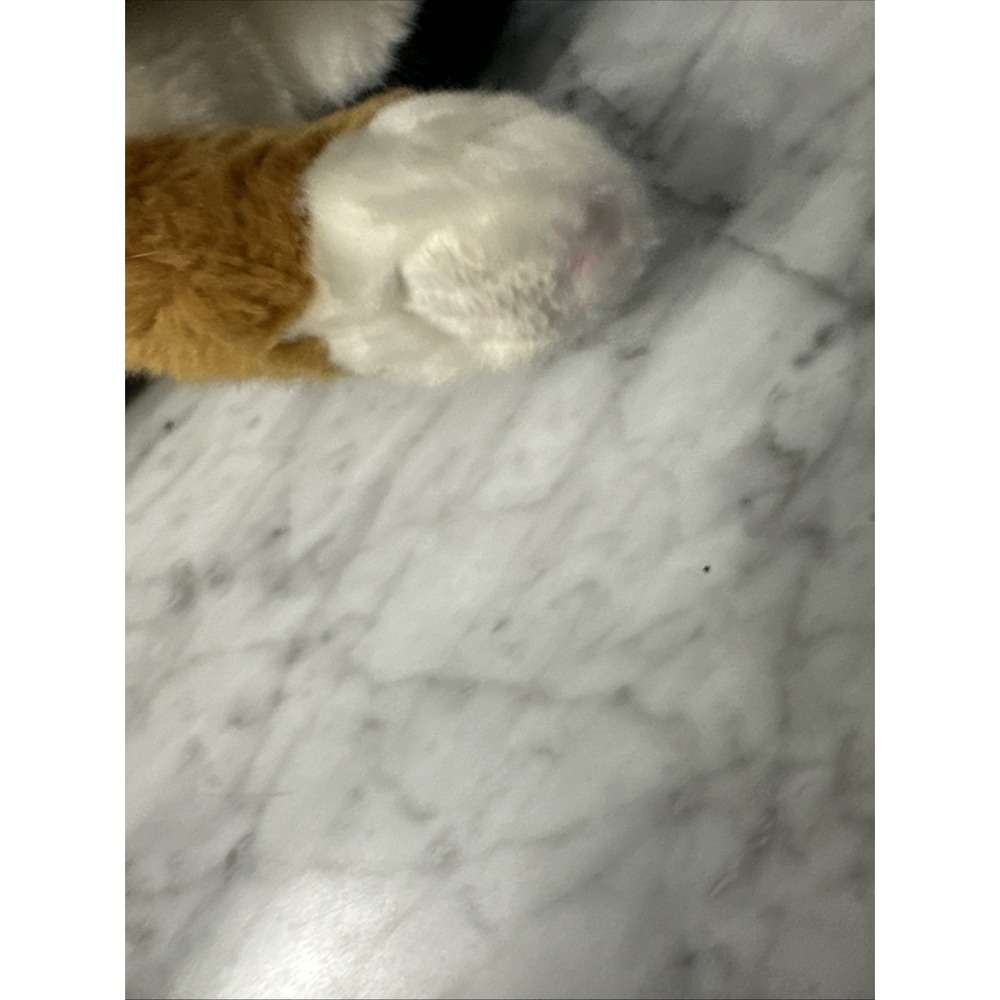 Calico Cat Realistic Kitten GREEN EYES Bearington Plush CALLIE Soft Kitty 14" - Picture 14 of 16